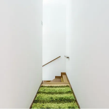 Casa Do Mirante Porto